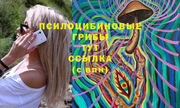 мдпв Абаза