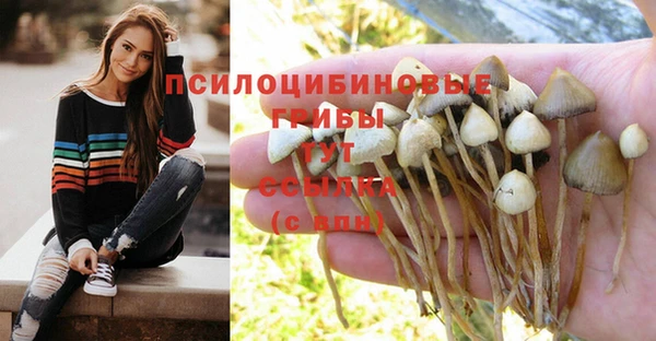 мдпв Абаза
